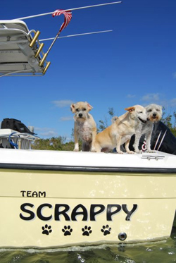 22nd Annual List of Top Ten Boat Names
