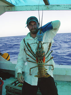 Gone Coastal: Heading to the Keys for Lobster Season?